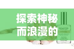 探索神秘而浪漫的调香之旅：以花与香水与猫四色六神为引导，深入剖析其独特调配方法和香味魅力