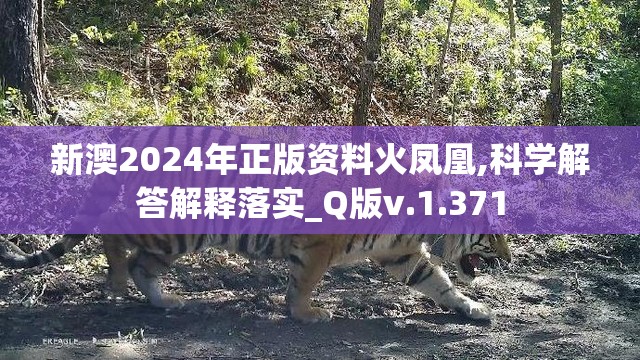 2004新澳门天天开好彩198期,多方面的支持计划与实施_顶级款v.4.908
